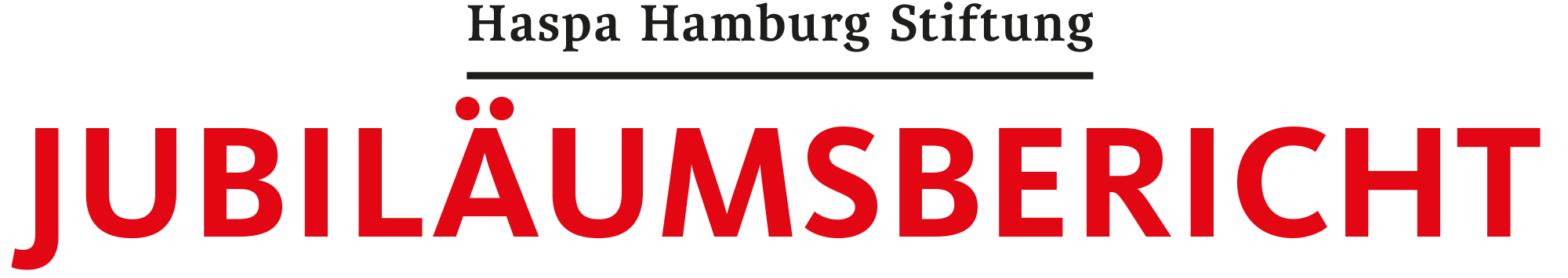 Logo Jahresbericht 2025